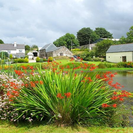 Polhilsa Farm Bed and Breakfast Callington Buitenkant foto