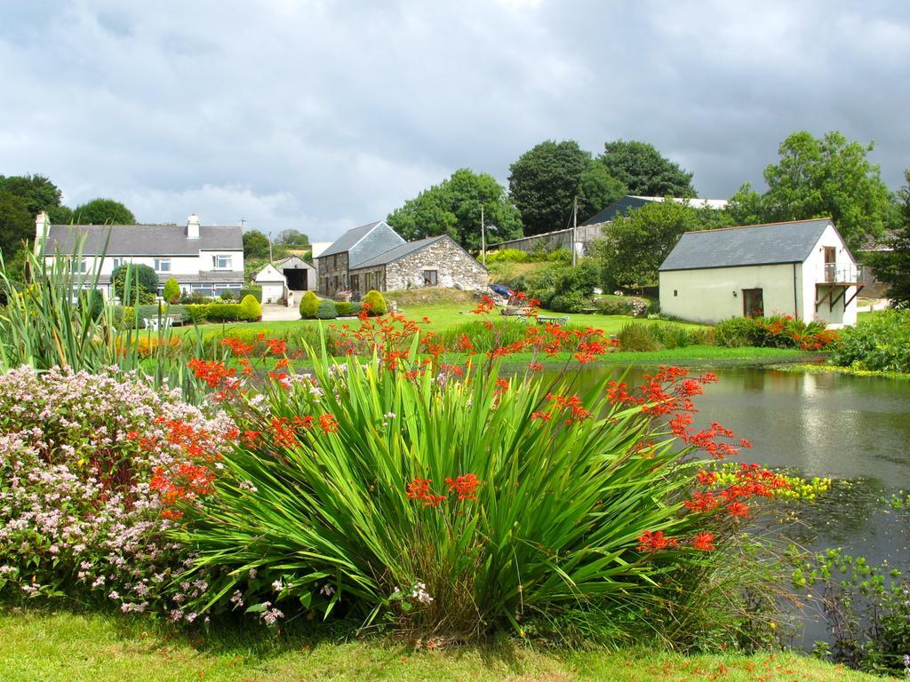 Polhilsa Farm Bed and Breakfast Callington Buitenkant foto