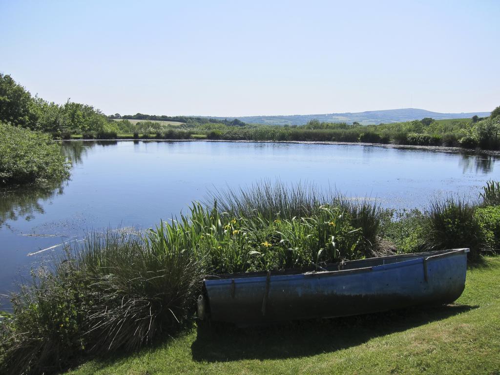 Polhilsa Farm Bed and Breakfast Callington Buitenkant foto