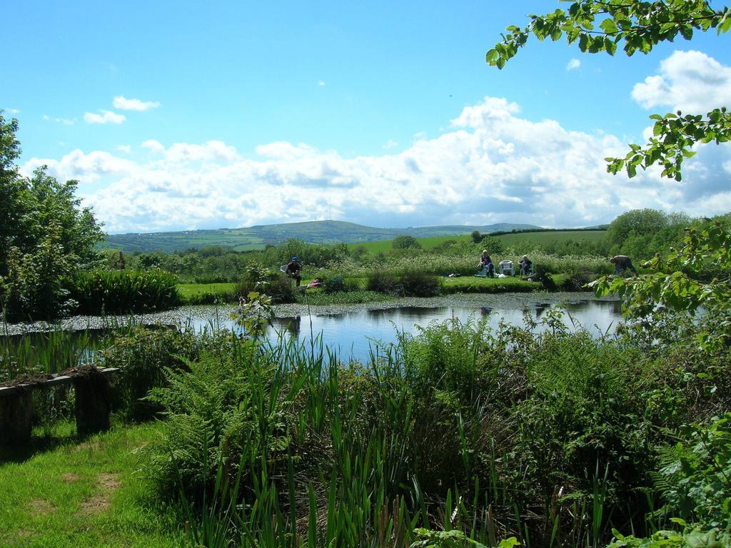 Polhilsa Farm Bed and Breakfast Callington Buitenkant foto